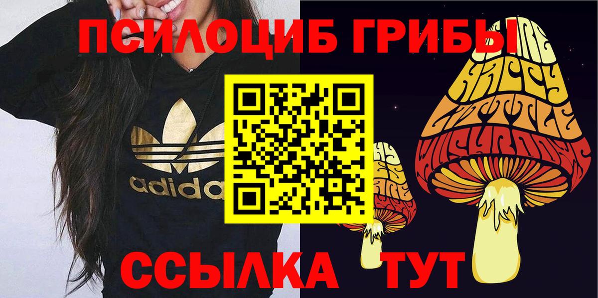 Псилоцибиновые грибы Magic Shrooms  Галлюциногенные грибы GOLDEN TEACHER  Вход с VPN  Черногорск 