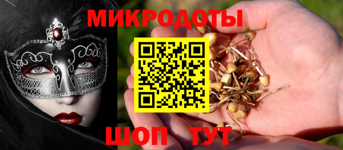 Галлюциногенные грибы прущие грибы Черногорск